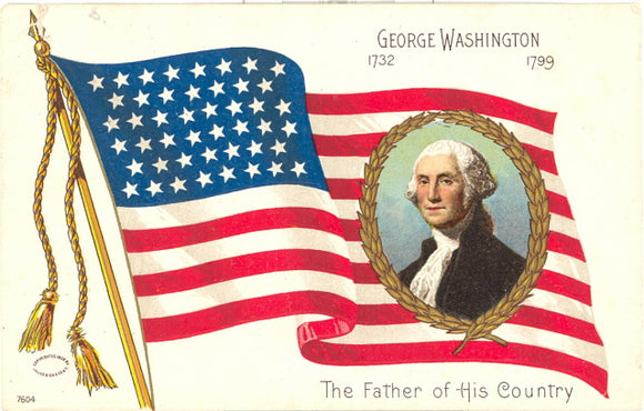 George Washington, 1732 - 1799, The Father of His Country - Carey's Emporium