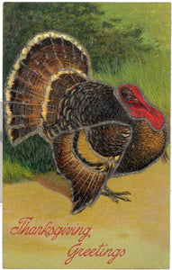 Thanksgiving Greetings - Carey's Emporium