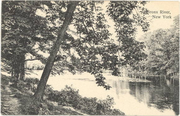 Bronx River, New York, NY - Carey's Emporium