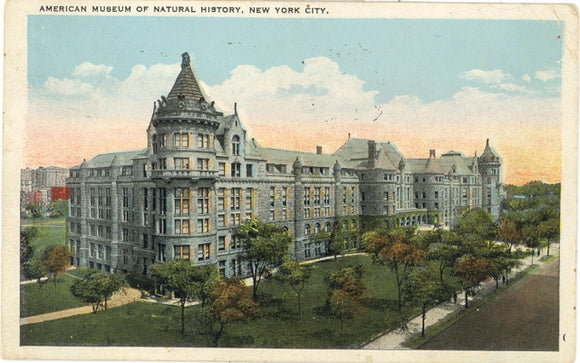American Museum of Natural History, New York, NY - Carey's Emporium