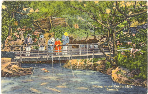 Fishing at the Devil's Hole, Bermuda - Carey's Emporium