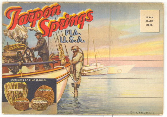 Tarpon Springs, FL Souvenir Folder - Carey's Emporium