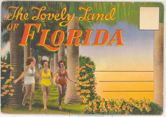 Lovely Land of Florida Souvenir Folder - Carey's Emporium