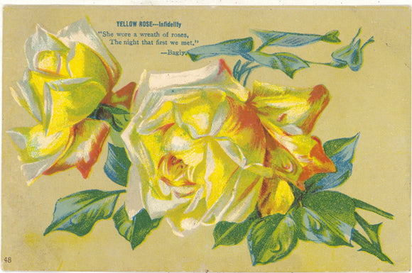 Yellow Rose Infidelity - Carey's Emporium