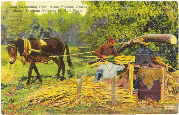 Making Sorghum Molasses, Ozarks, MO - Carey's Emporium