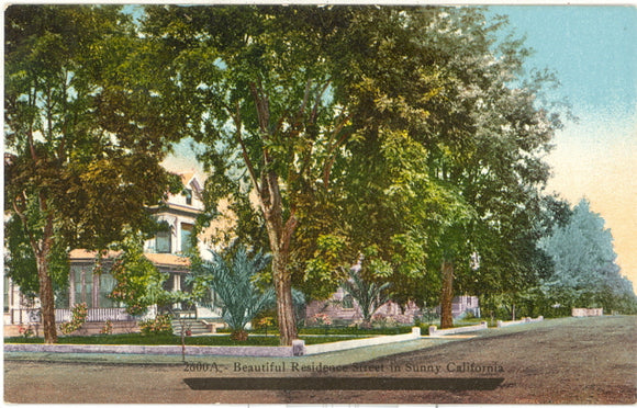 Beautiful Residence Street in Sunny California - Carey's Emporium