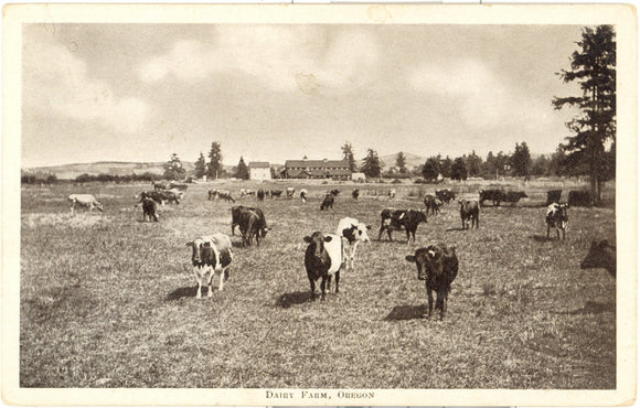 Dairy Farm, OR - Carey's Emporium