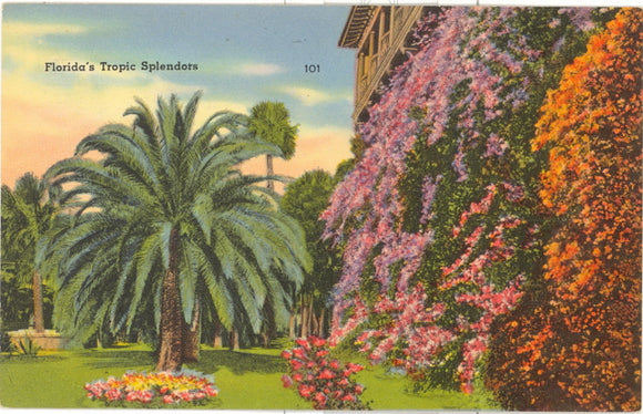 Florida's Tropic Splendor - Carey's Emporium