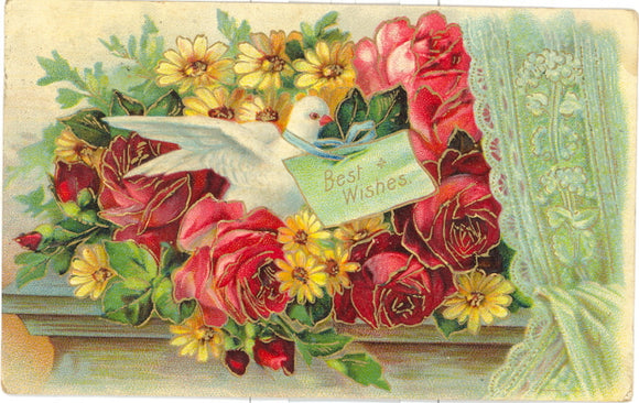 Best Wishes - Carey's Emporium