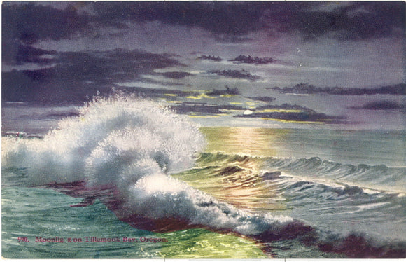 Moonlight on Tillamook Bay, OR - Carey's Emporium