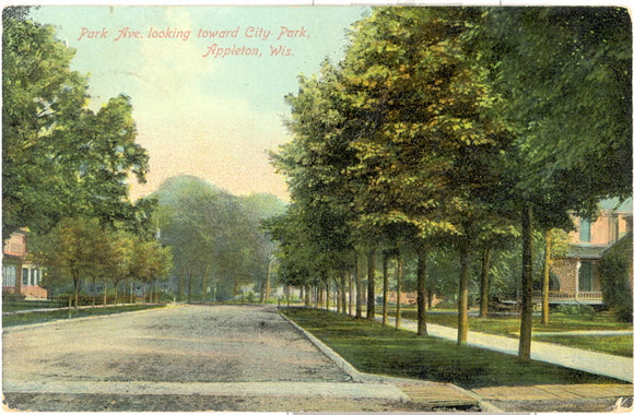 Park Avenue, looking toward City Park, Appleton, WI - Carey's Emporium