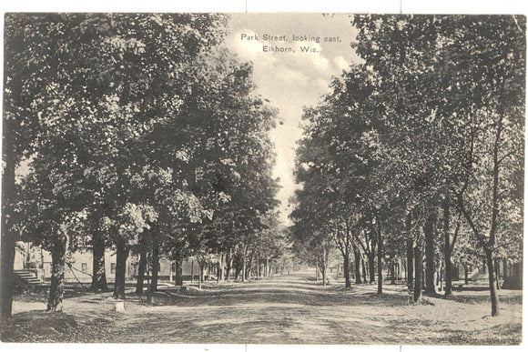 Park Street, looking east, Elkhorn, WI - Carey's Emporium