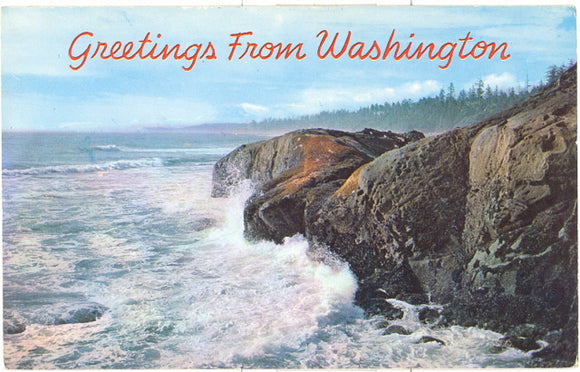 Ocean Breakers near Ruby Beach, WA - Carey's Emporium