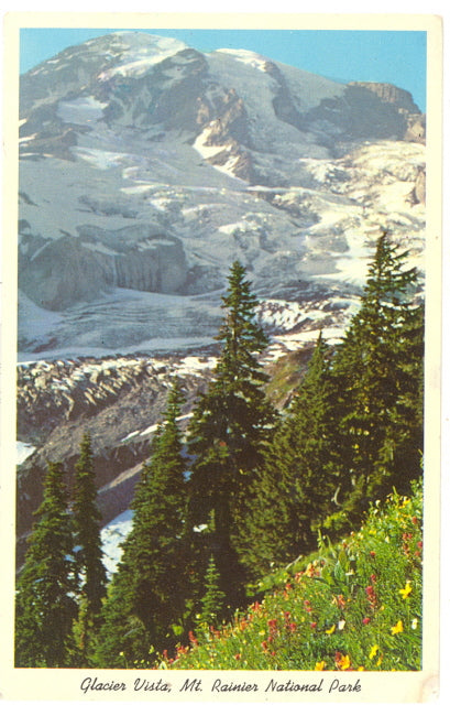 Glacier Vista, Mt. Rainier National Park - Carey's Emporium