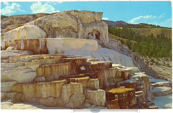 Minerva Terrace, Yellowstone National Park - Carey's Emporium