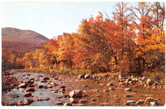 Kemmerer, WY - Carey's Emporium
