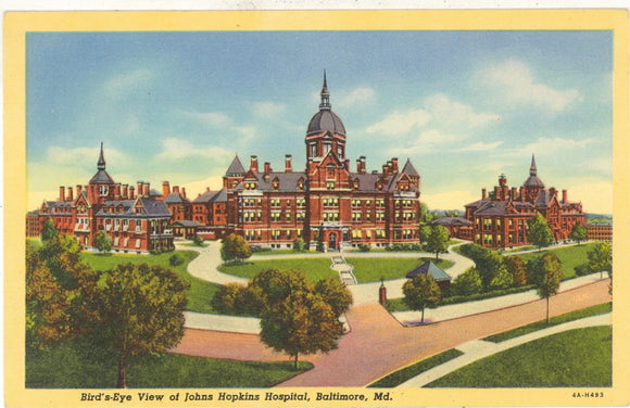 Birds-Eye View of Johns Hopkins Hospital, Baltimore, MD - Carey's Emporium
