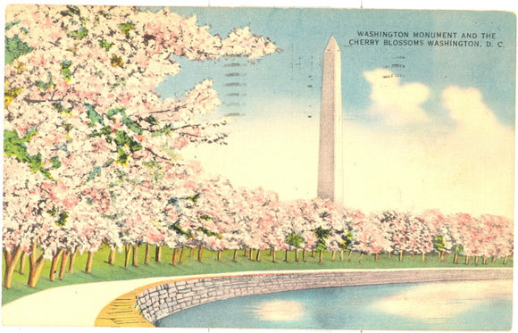 The Washington Monument and the Cherry Blossoms, Washington, DC - Carey's Emporium