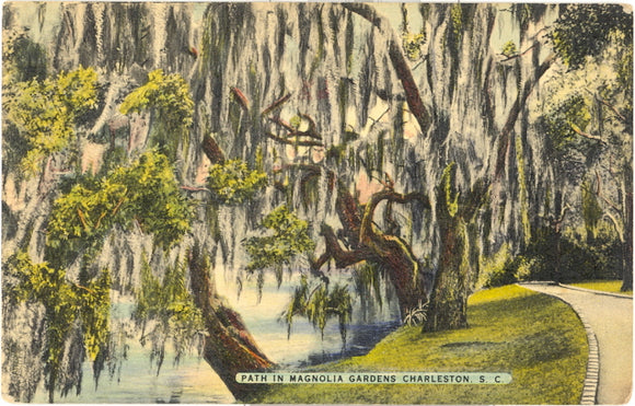 Path in Magnolia Gardens, Charleston, SC - Carey's Emporium