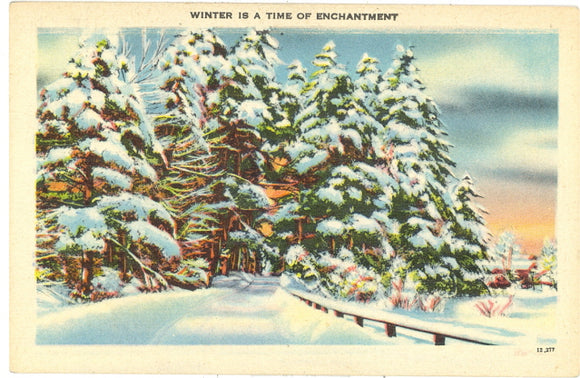 Winter is a Time of Enchantment, Asheville, NC - Carey's Emporium