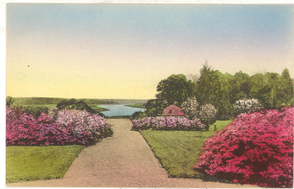 Middleton Place Gardens, Charleston, SC - Carey's Emporium