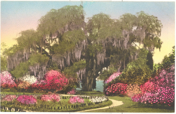 Middleton Place Gardens, Charleston, SC - Carey's Emporium