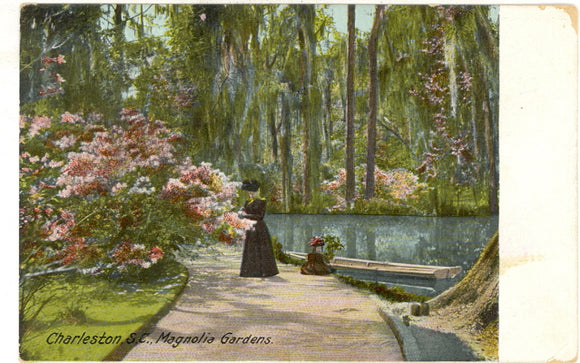 Magnolia Gardens, Charleston, SC - Carey's Emporium