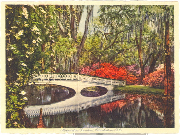 Magnolia Gardens, Charleston, SC - Carey's Emporium