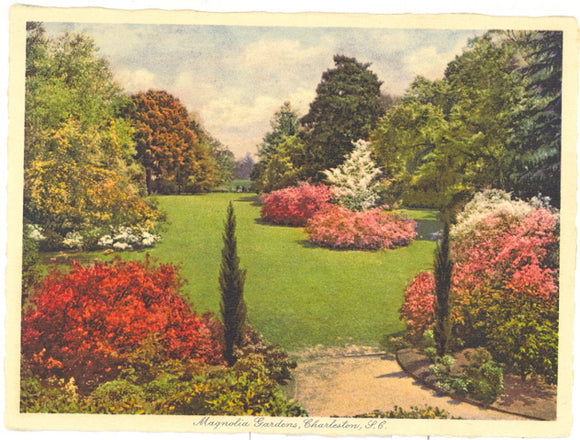 Magnolia Gardens, Charleston, SC - Carey's Emporium