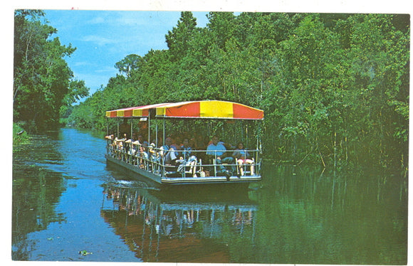 Scenic Boat Ride, Homosassa Springs, FL - Carey's Emporium