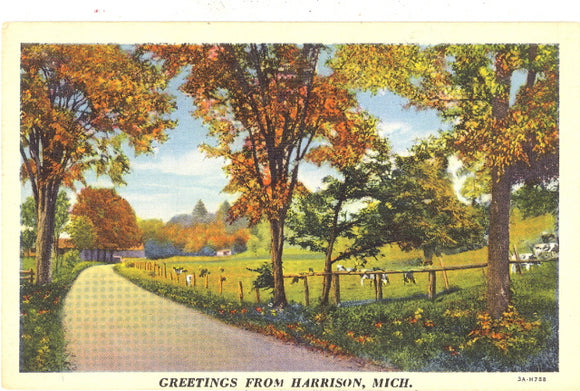 Greetings from Harrison, MI - Carey's Emporium