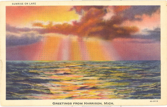 Greetings from Harrison, MI - Carey's Emporium