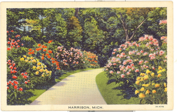 Greetings from Harrison, MI - Carey's Emporium