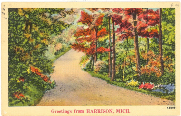 Greetings from Harrison, MI - Carey's Emporium