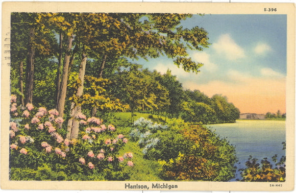 Harrison, MI - Carey's Emporium