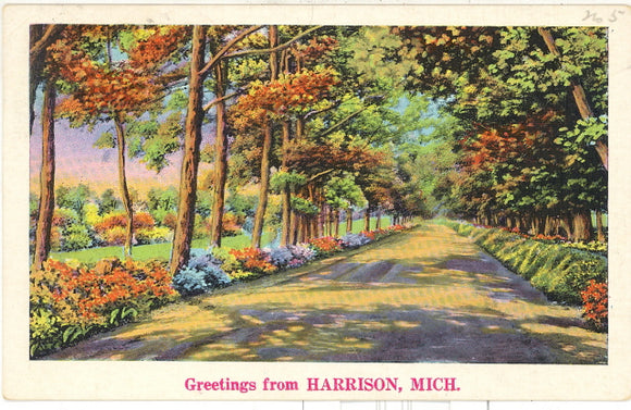 Greetings from Harrison, MI - Carey's Emporium