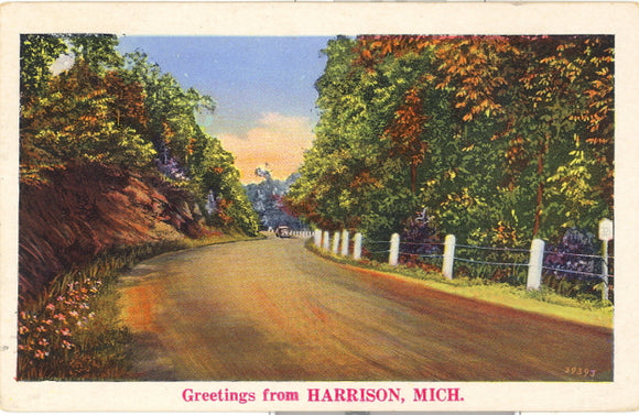 Greetings from Harrison, MI - Carey's Emporium