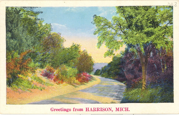 Greetings from Harrison, MI - Carey's Emporium