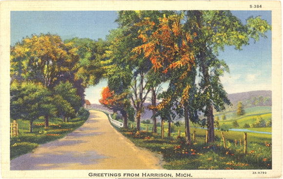 Greetings from Harrison, MI - Carey's Emporium