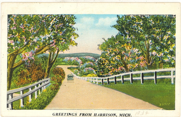 Greetings from Harrison, MI - Carey's Emporium