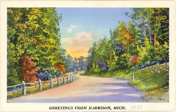 Greetings from Harrison, MI - Carey's Emporium