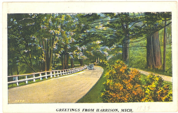Greetings from Harrison, MI - Carey's Emporium