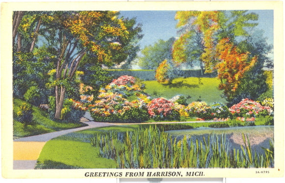 Greetings from Harrison, MI - Carey's Emporium