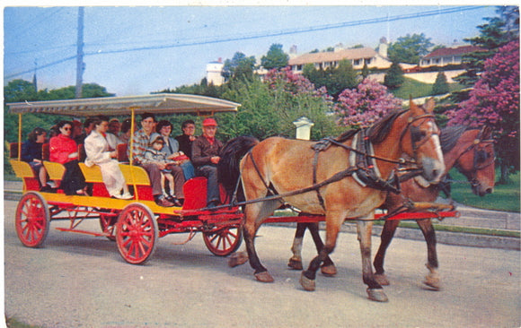 Lilac Time, Mackinac Island, MI - Carey's Emporium