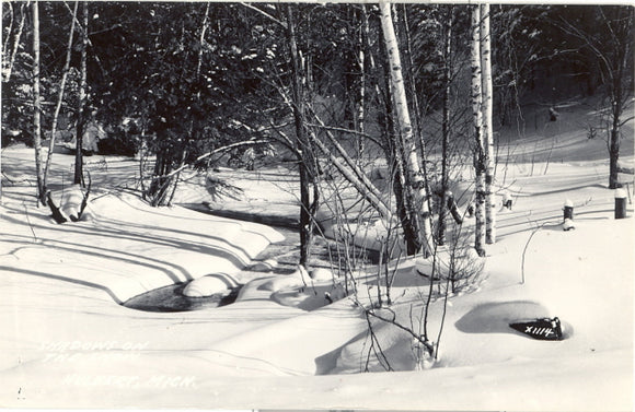 Shadows on the Snow, Hulbert, MI - Carey's Emporium