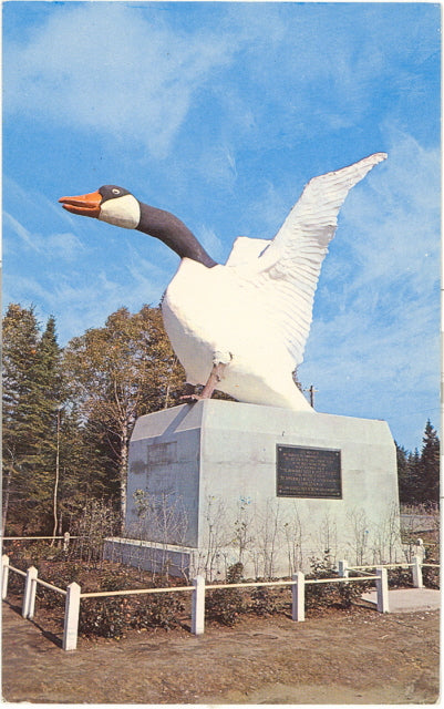 The Wild Goose, Wawa, Ontario, Canada - Carey's Emporium