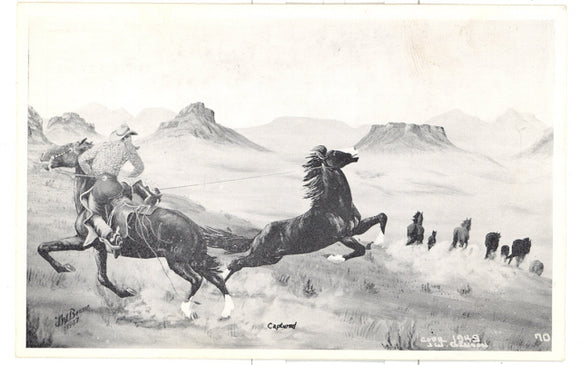 Captured by J. W. Benson - Carey's Emporium