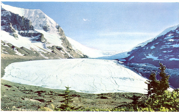 Athabasca Glacier, Calgary, Canada - Carey's Emporium