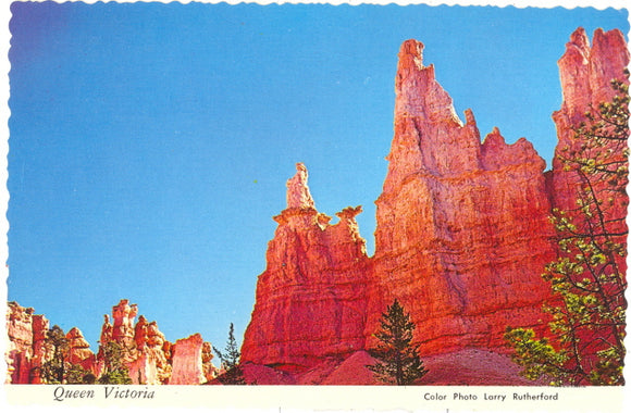 Queen Victoria, Bryce Canyon National Park - Carey's Emporium