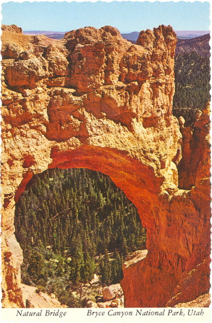 Natural Bridge, Bryce Canyon National Park - Carey's Emporium